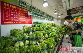 ?？陂_售4種平價菜，設立76個供應點保障市民新鮮蔬菜零售